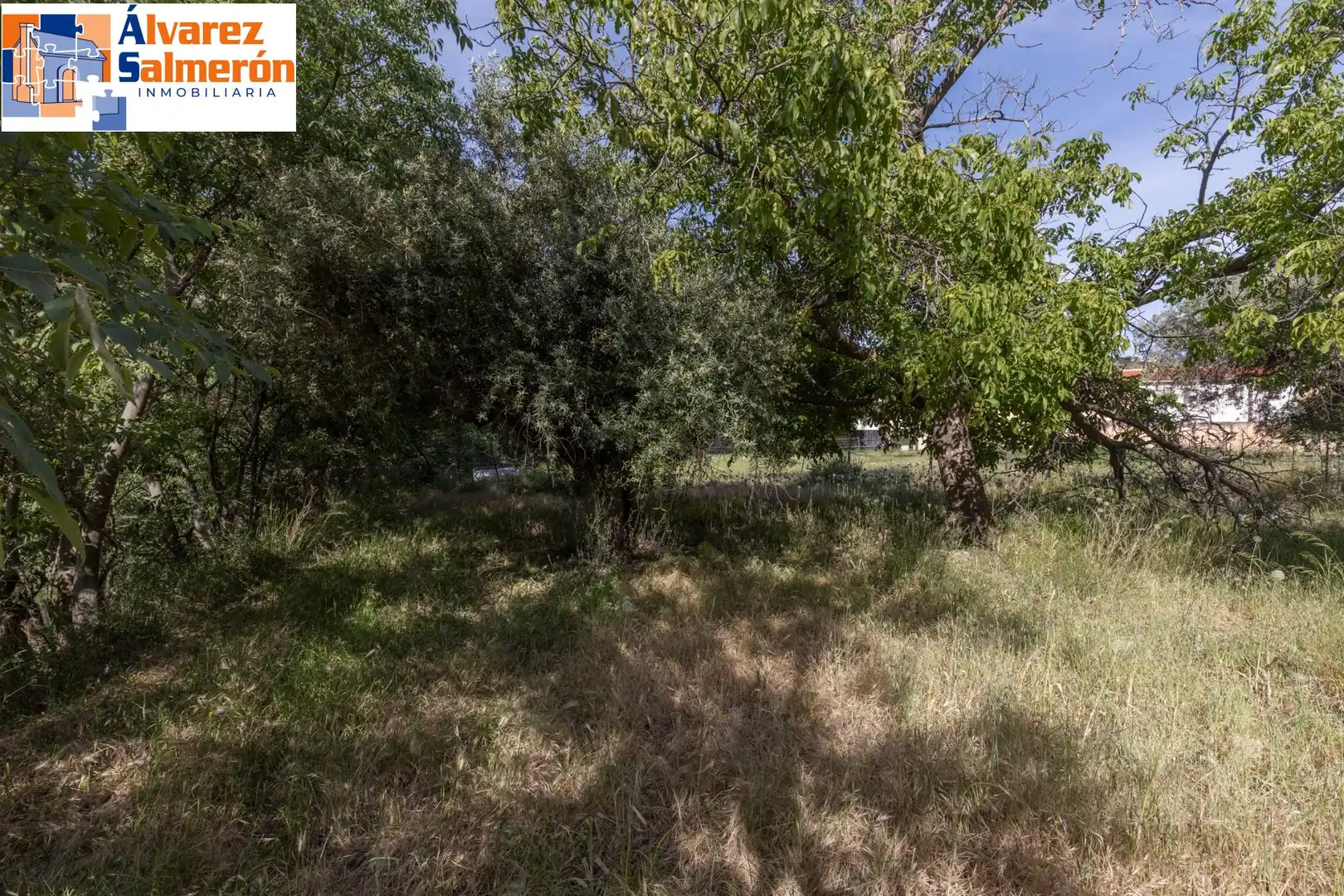 Lands and plots for sale in Carretera de Maitena, imagen 17