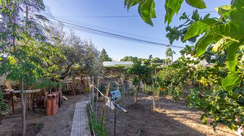 Photo 5 of Houses for sale in Los Balcones - Los Altos, Torrevieja