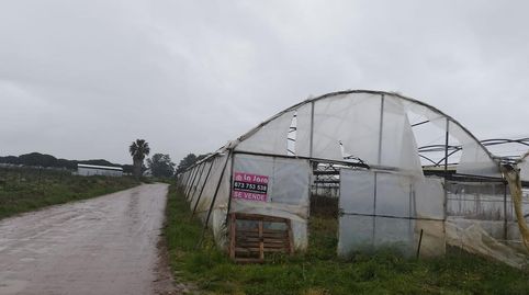 FINCA CON INVERNADERO EN CHIPIONA, imagen 3