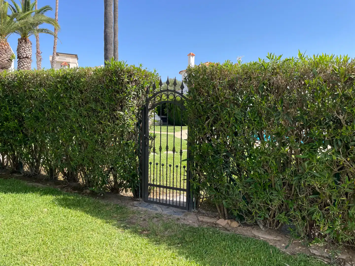 Jardín de Casa o chalet de alquiler en Oliva con Aire acondicionado, Calefacción y Jardín privado