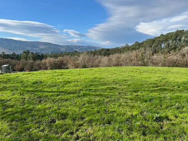 Land for sale in Lezama