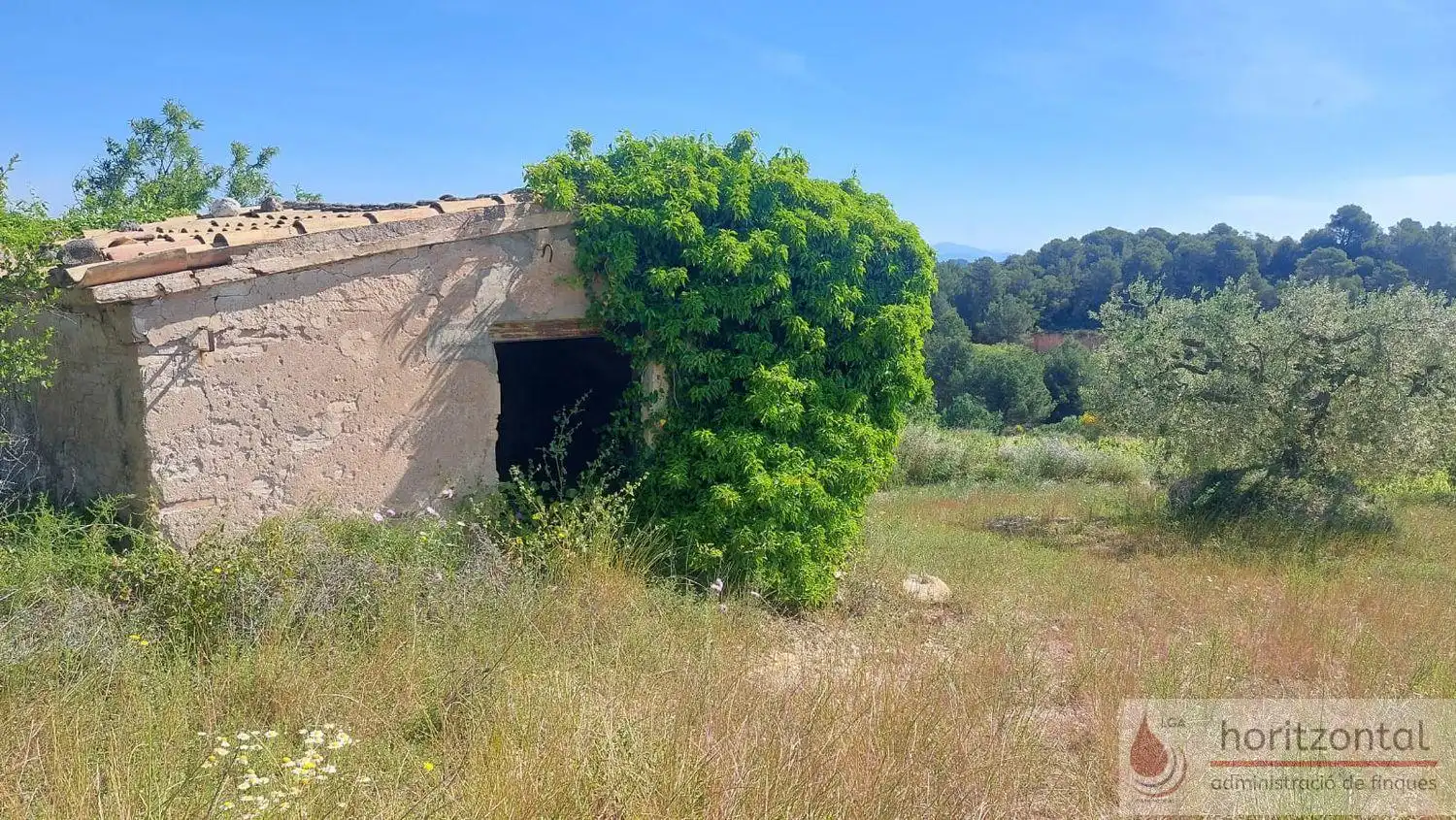 Terrenys i solars en venda a Sant Quintí de Mediona, imagen 9