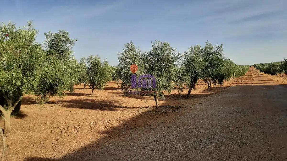 Casa rústica en venda a Valdepeñas, imagen 47