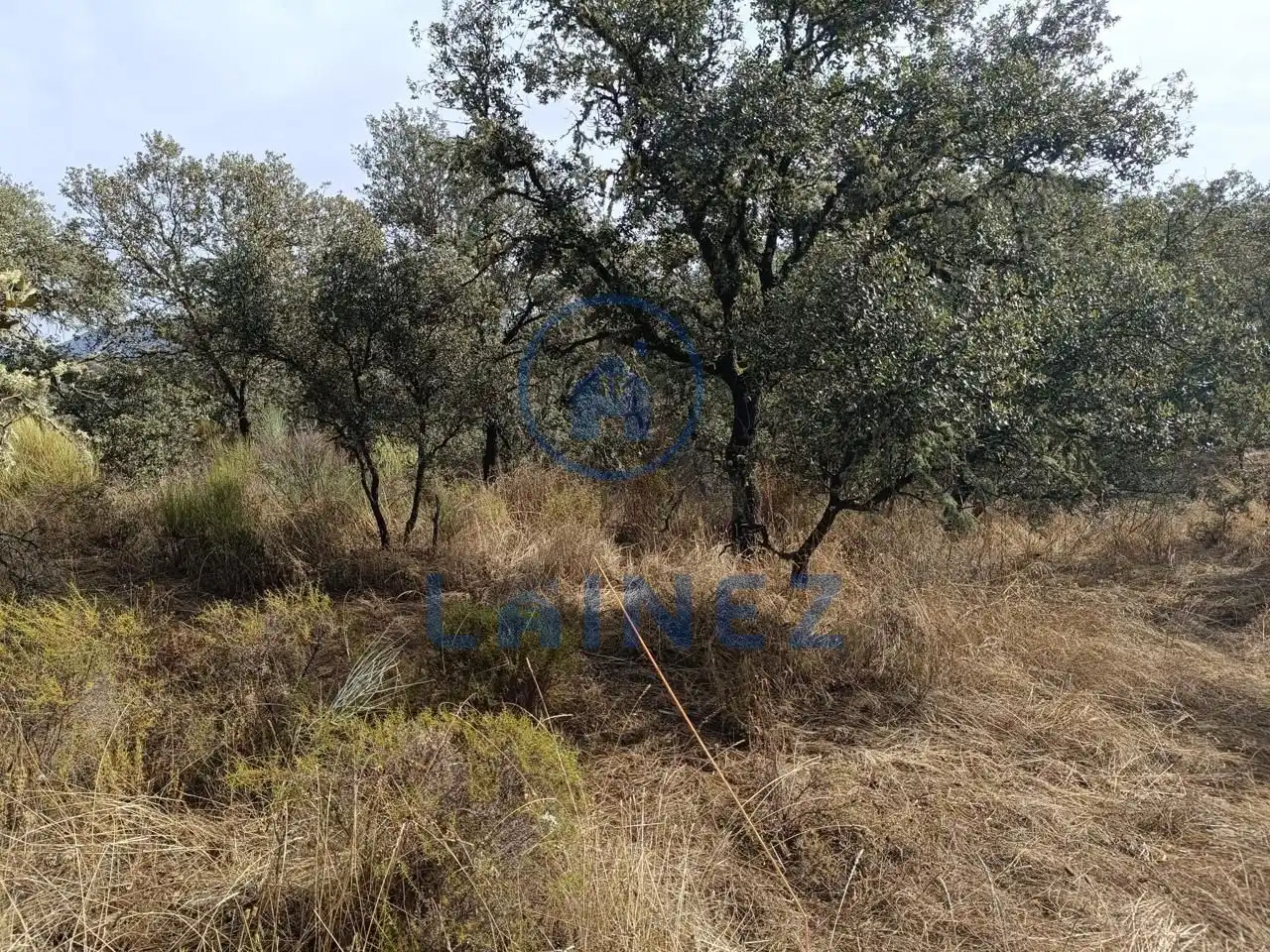 Lands and plots for sale in Espiel, imagen 6