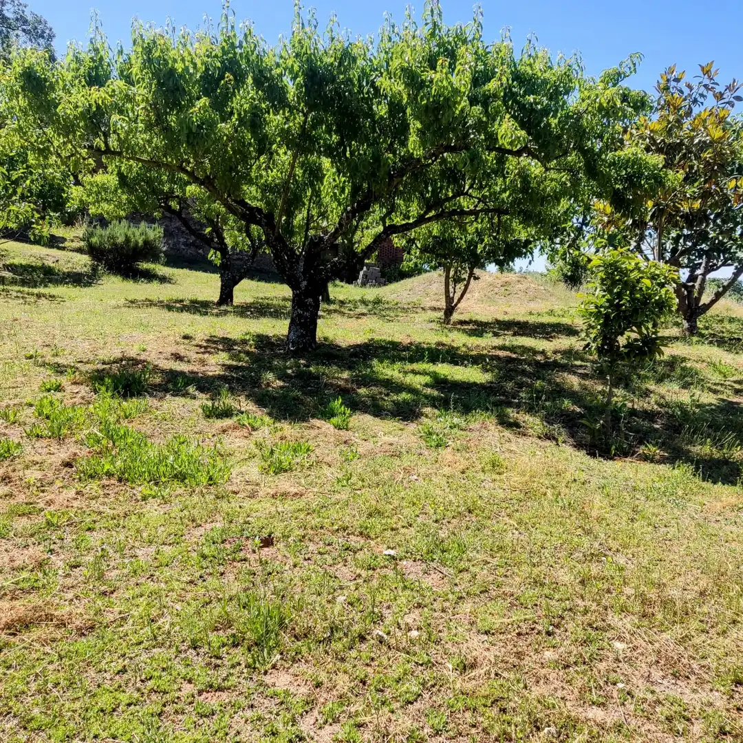 Terreni e lotti in vendita a Jarandilla de la Vera, imagen 5