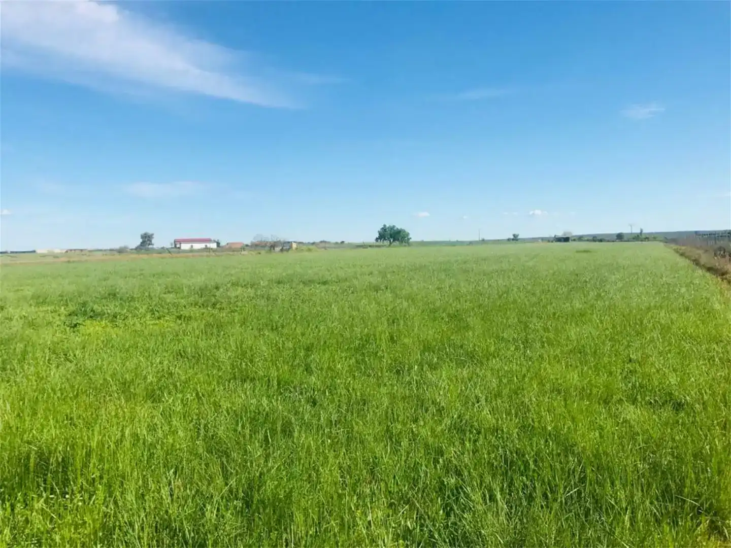 Land for sale in Moraleja