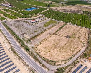 Finca rústica en venda a  Los Montesinos, Los Montesinos