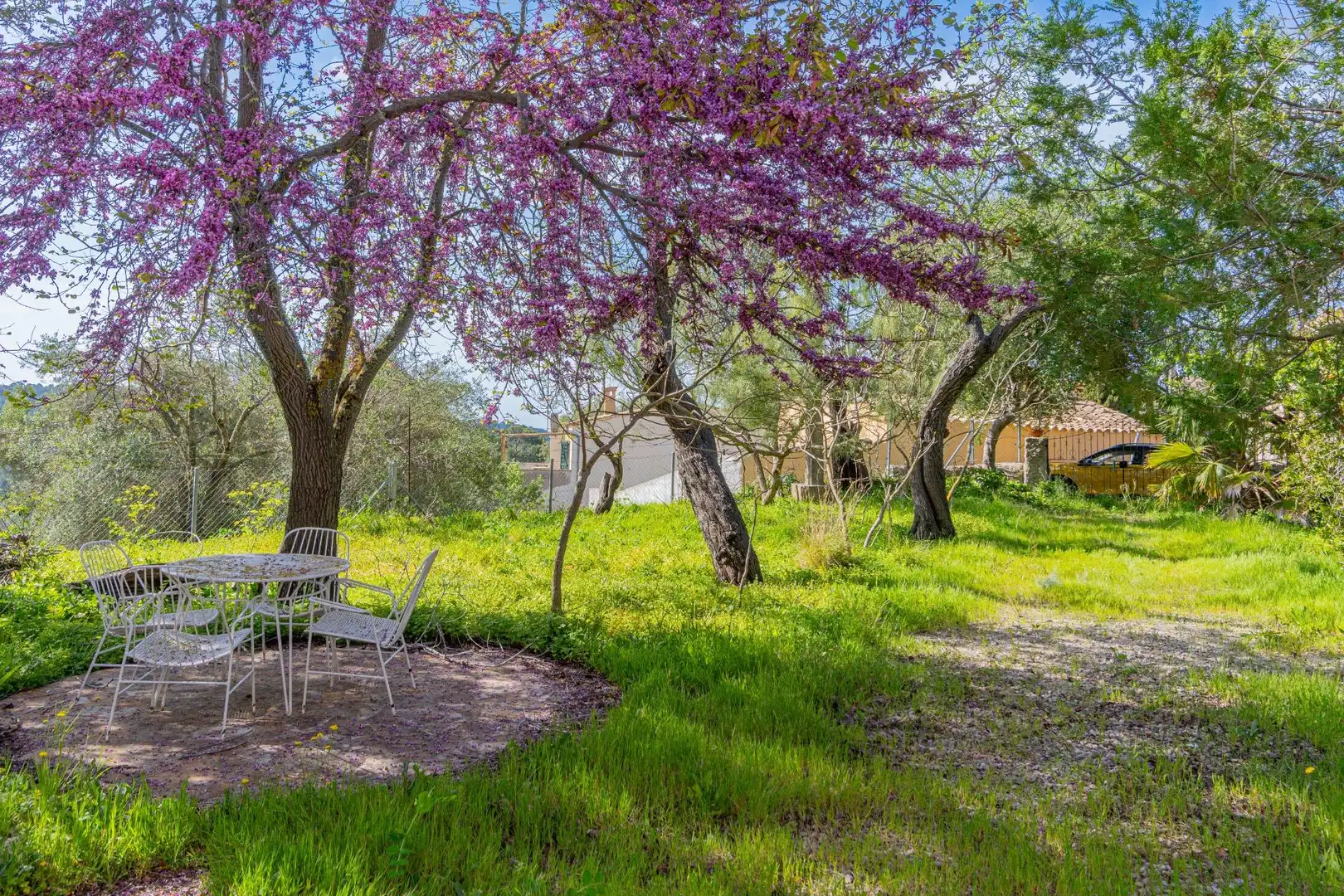Jardín de Finca rústica en venta en Puigpunyent con Jardín privado, Terraza y Trastero