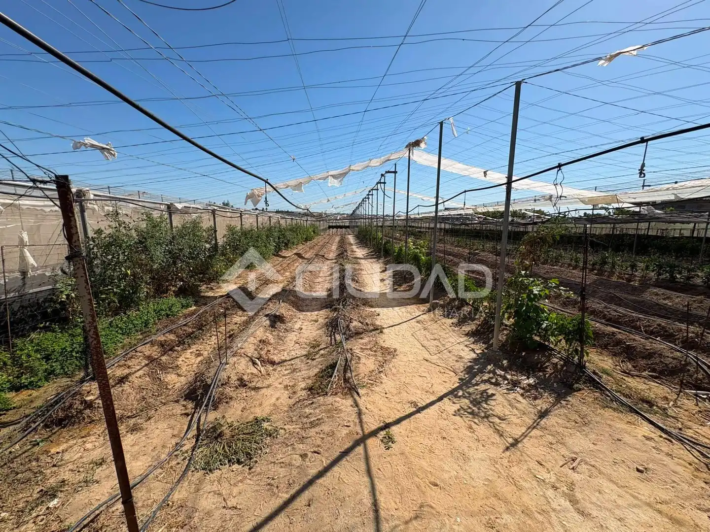 Terreno en venta en Sanlúcar de Barrameda