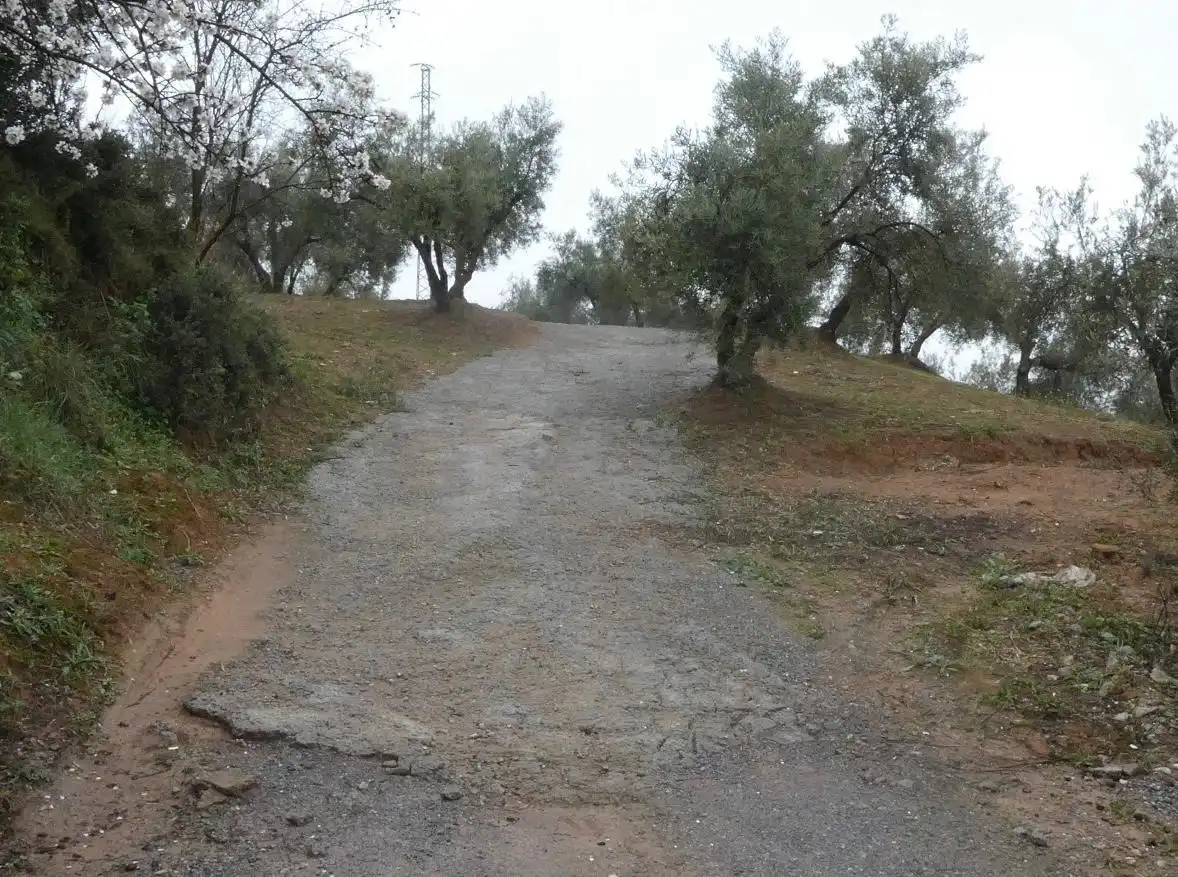Terreni e lotti in vendita a Peligros, imagen 7