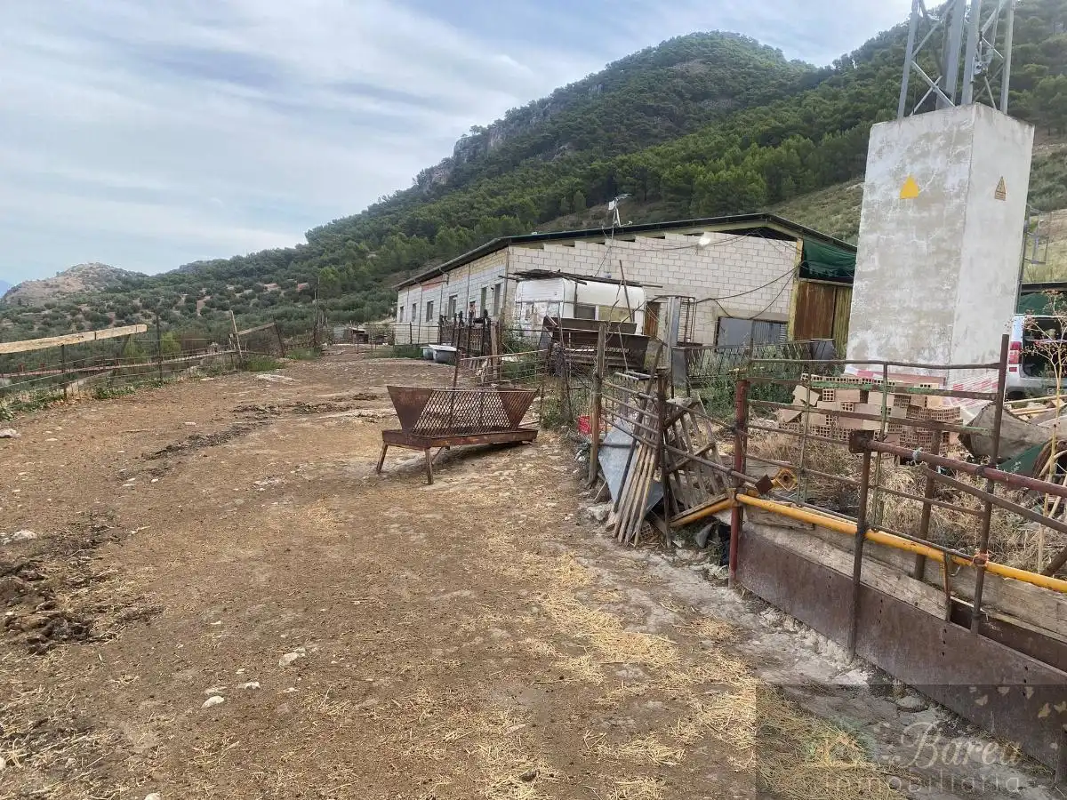 Nave industrial en venta en Rute