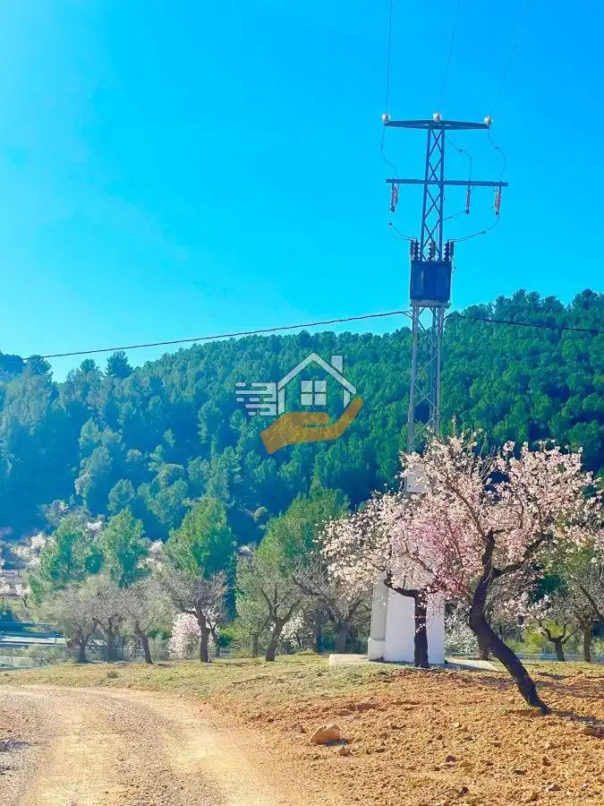 Casa rústica en venda a Vélez-Rubio, imagen 7