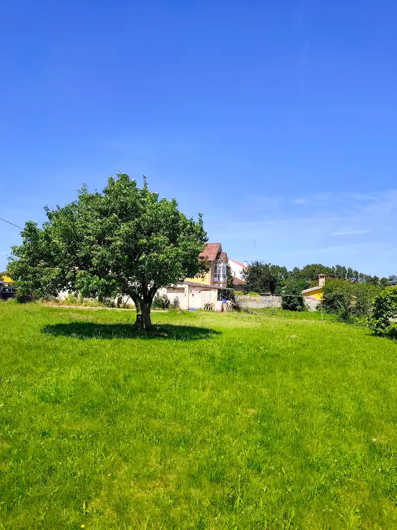 Casa o chalet en venta en Avilés con Jardín privado y Terraza