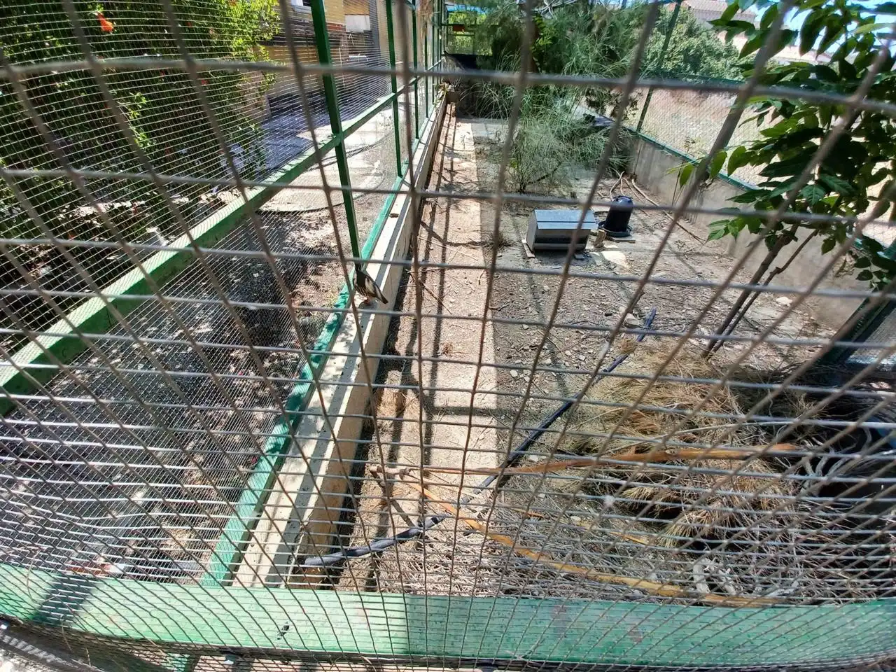 Terreni e lotti in vendita a De Cortes De Baza, imagen 8
