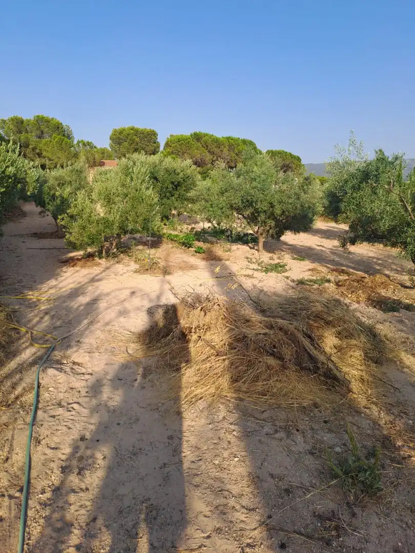 Villa avec terrasse à vendre à Camino de la Caseta Bravo, imagen 32