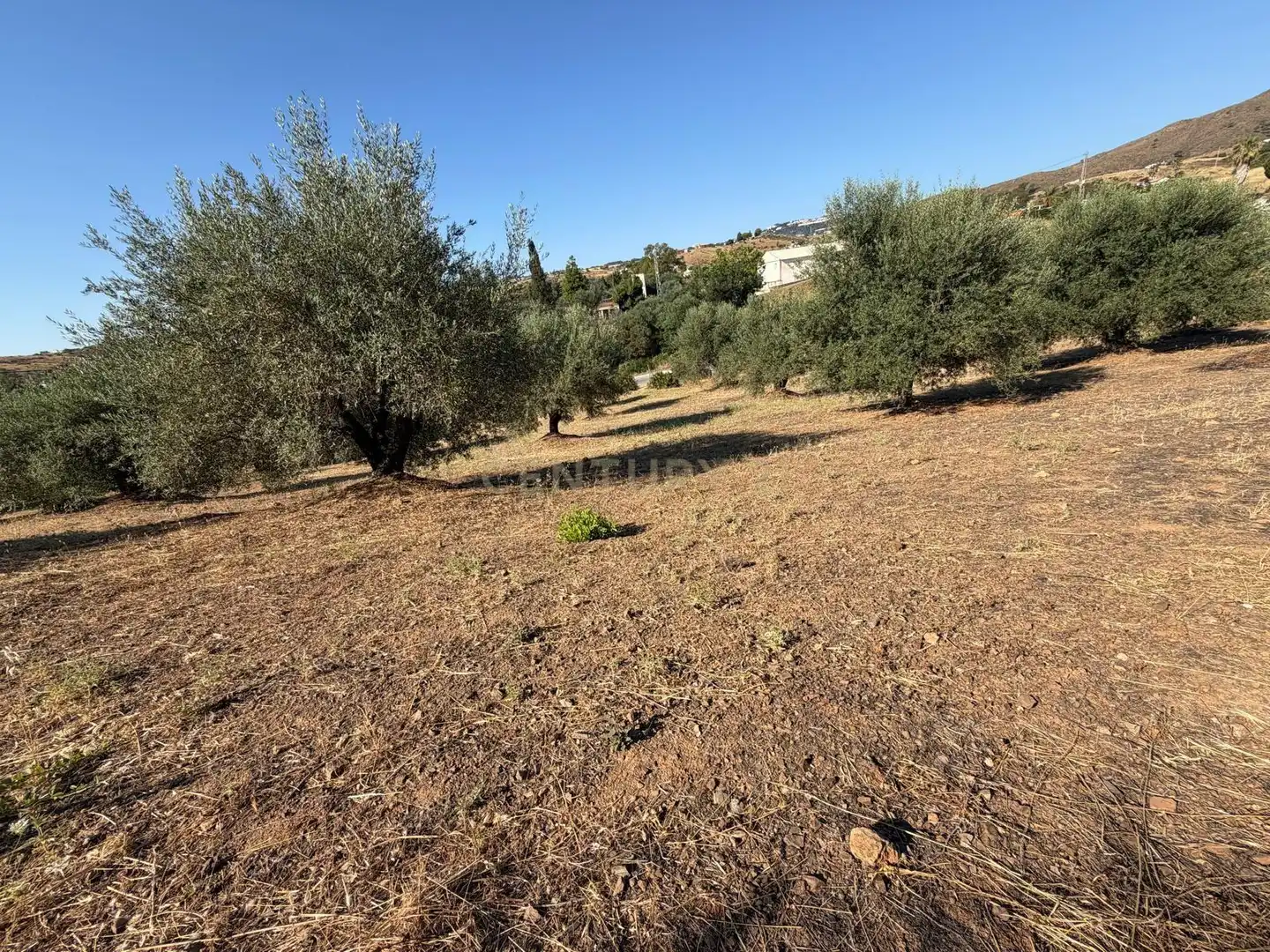 Terreni e lotti in vendita a Polígono 14 Parcela 58 ENTRE RIOS. MIJAS (MÁLAGA), imagen 19