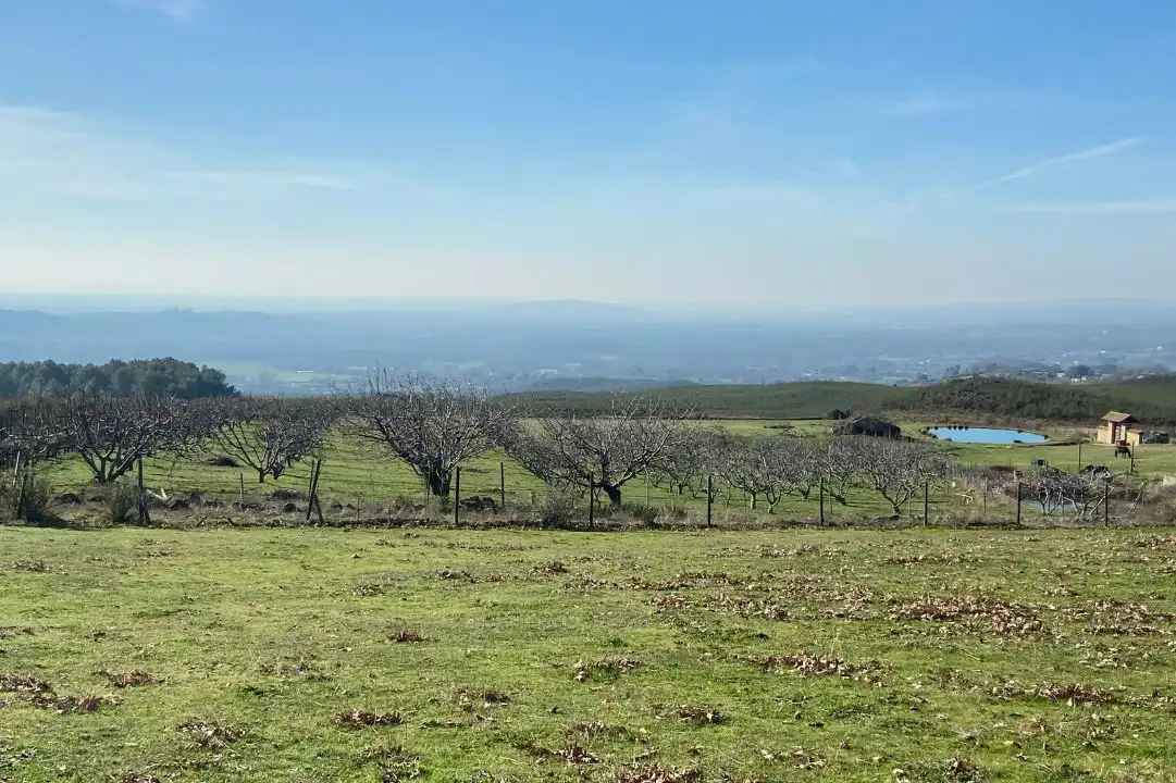 Land for sale in Hervencias