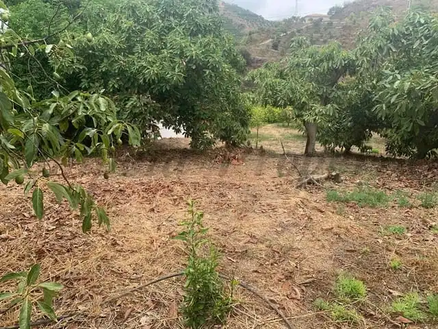 Detached homes for sale in Cútar
