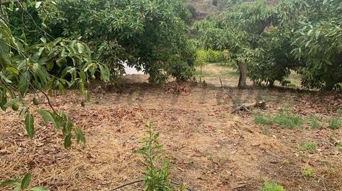 Photo 3 of Single-family semi-detached for sale in Cútar, Málaga