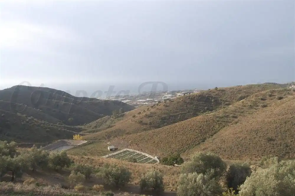 Terreny rústic en venda a Sayalonga, imagen 2