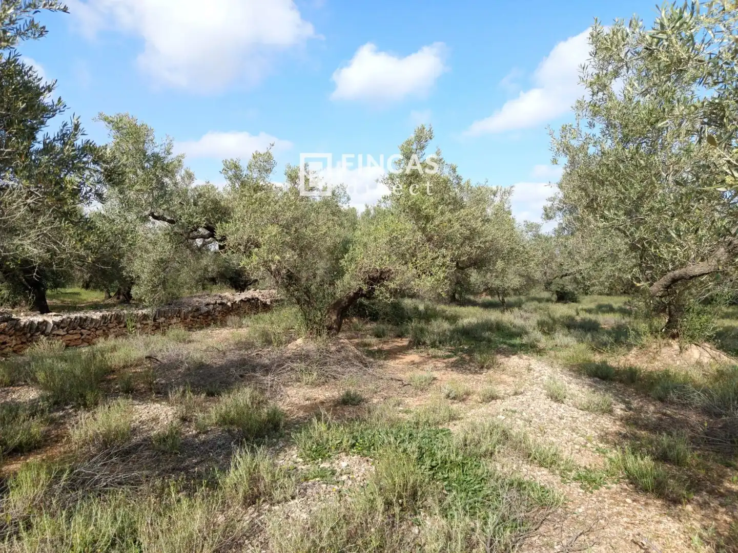 Country house for sale in QJMJ+85J, imagen 4