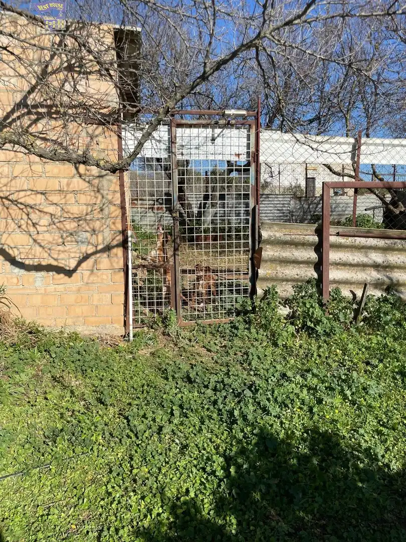 Casa rústica en venda a Arcos de la Frontera, imagen 11