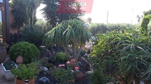 ESPECTACULAR VILLA EN MOJACAR CON PARCELA DE 2014,9 M2, imagen 5