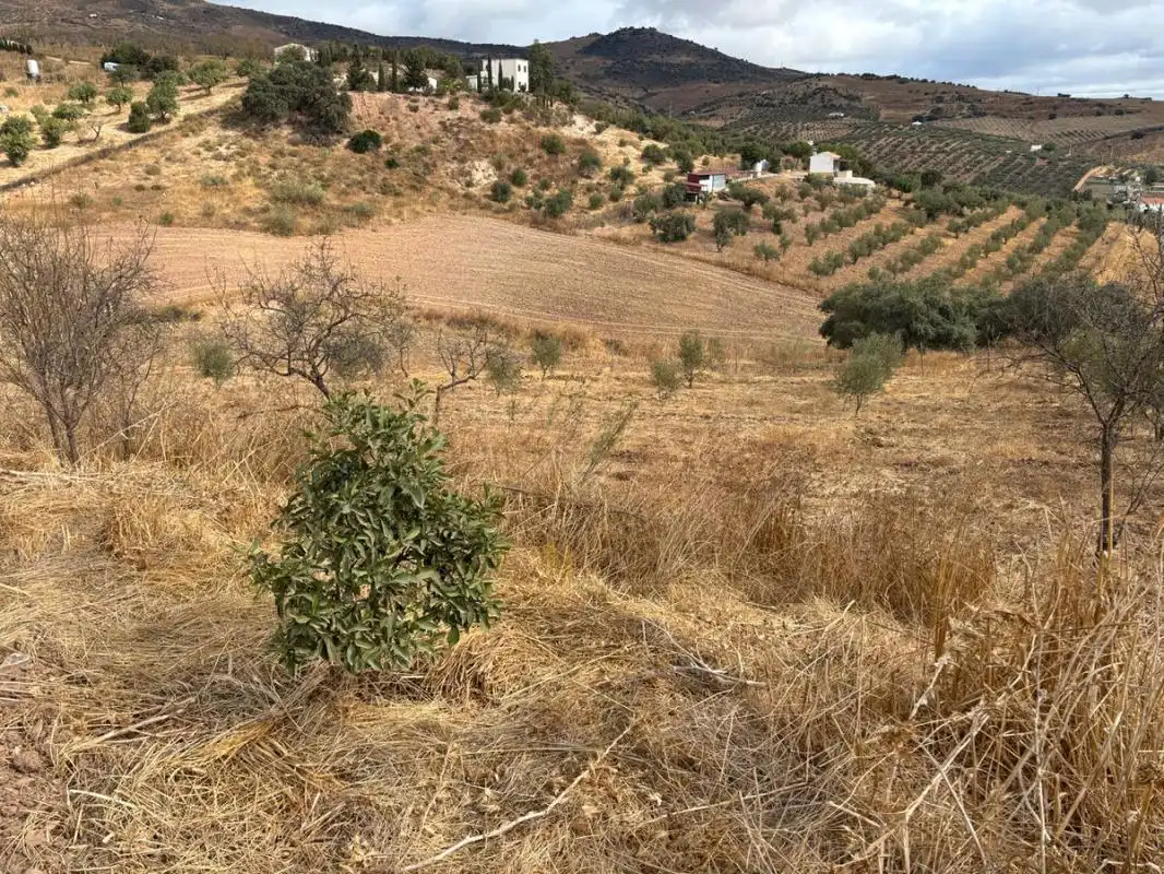 Terreni e lotti in vendita a Diseminado Poligono 1, imagen 9