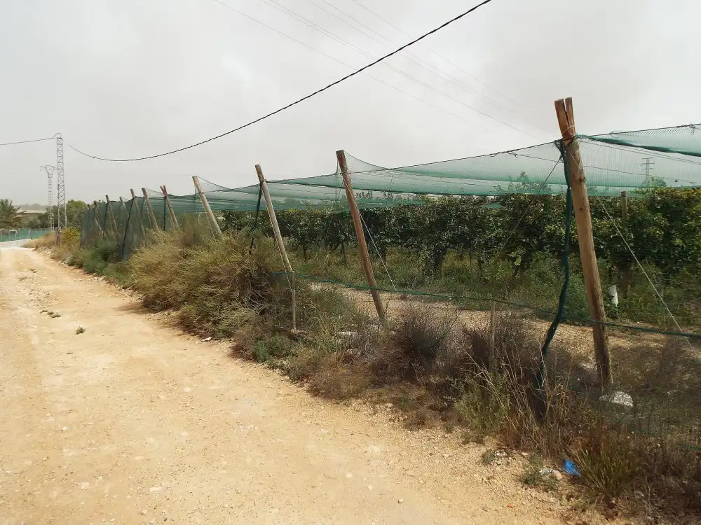 Terreno residencial en venta en Monforte del Cid, imagen 10
