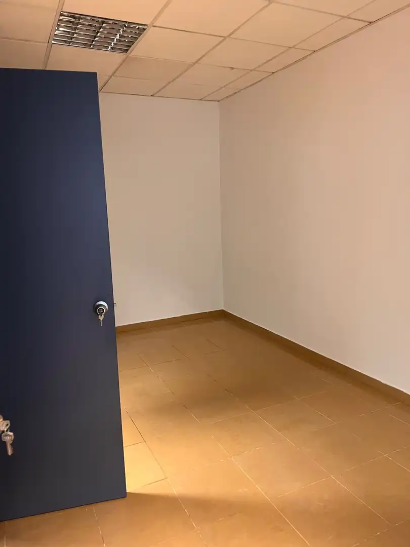 Industriegebäude zum Verkauf in Pilas, imagen 17