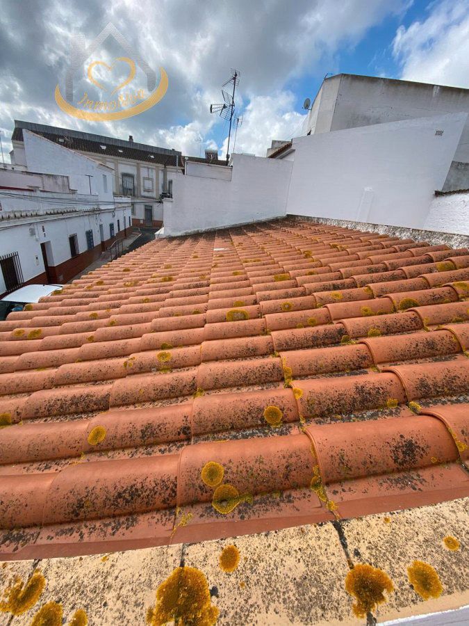 Vista exterior de Casa o xalet en venda en Cartaya amb Terrassa