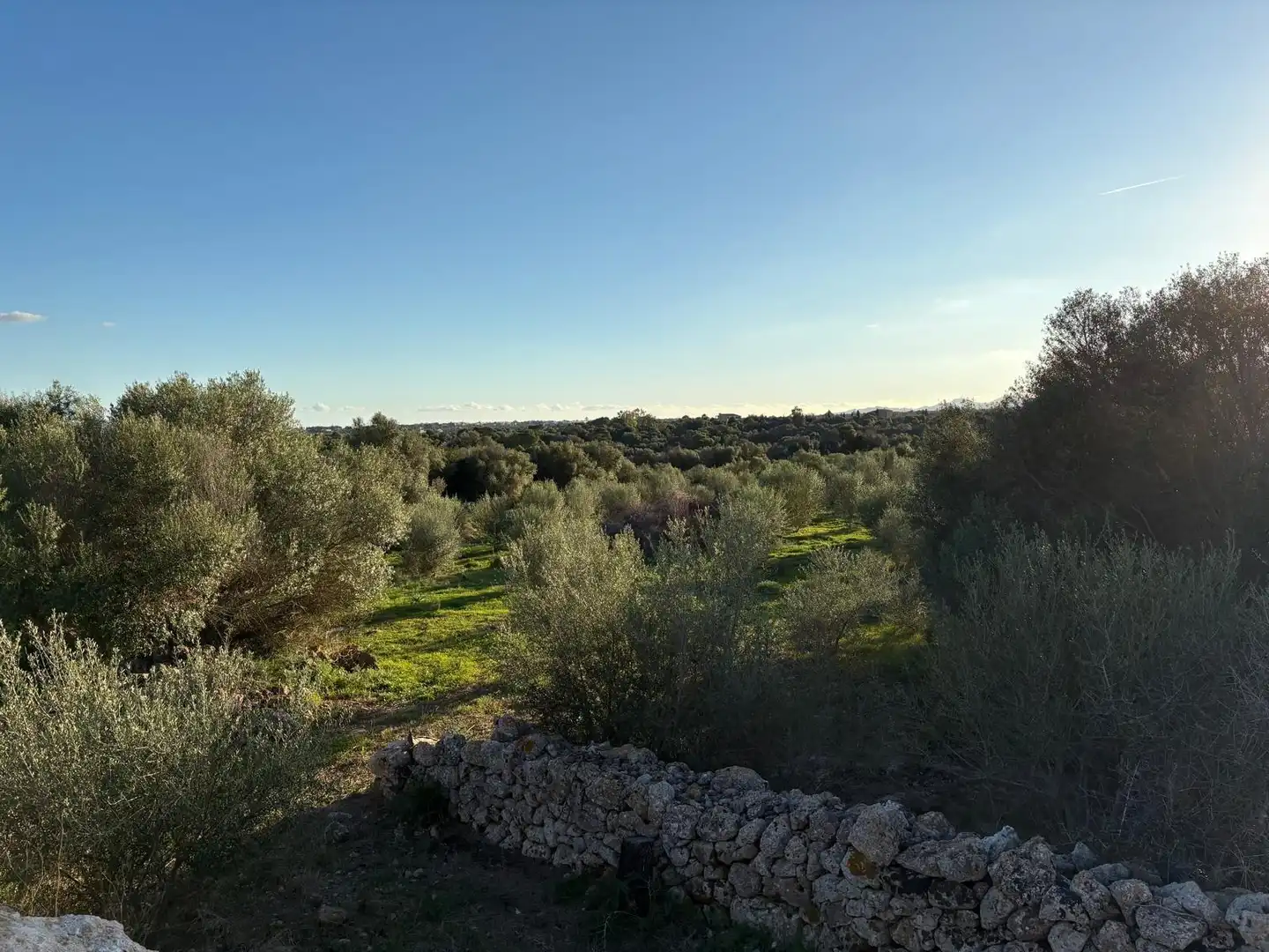Rural land for sale in Sant Llorenç des Cardassar, imagen 22