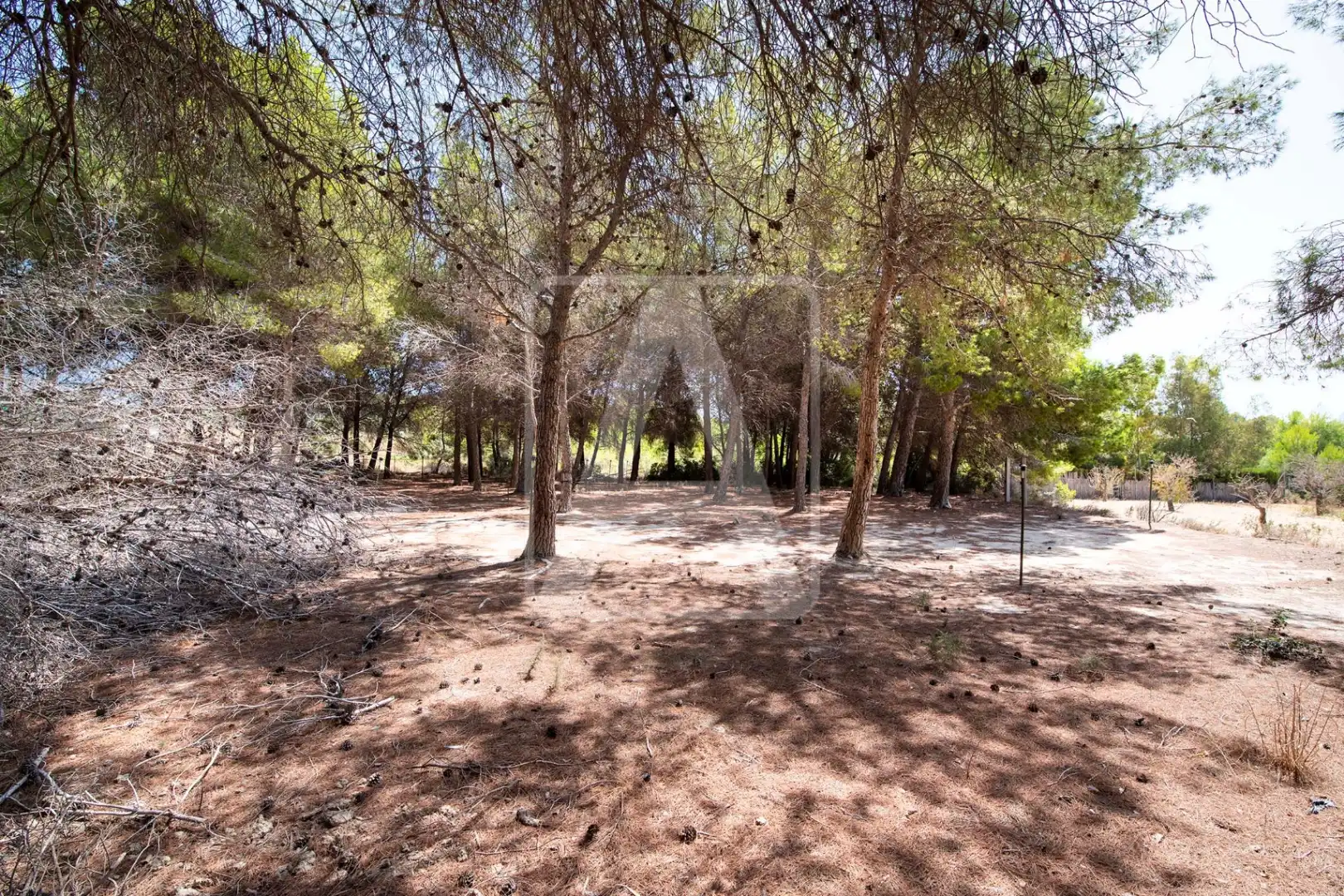Terreny residencial en venda a La Empedrola, imagen 9