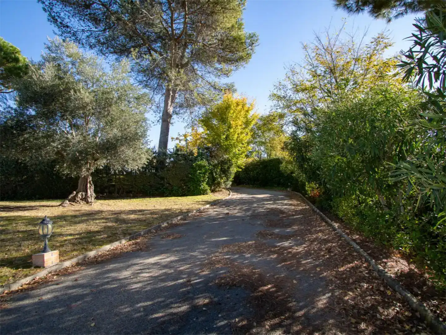 Vista exterior de Casa o chalet en venta en Boadilla del Monte con Aire acondicionado, Piscina y Balcón