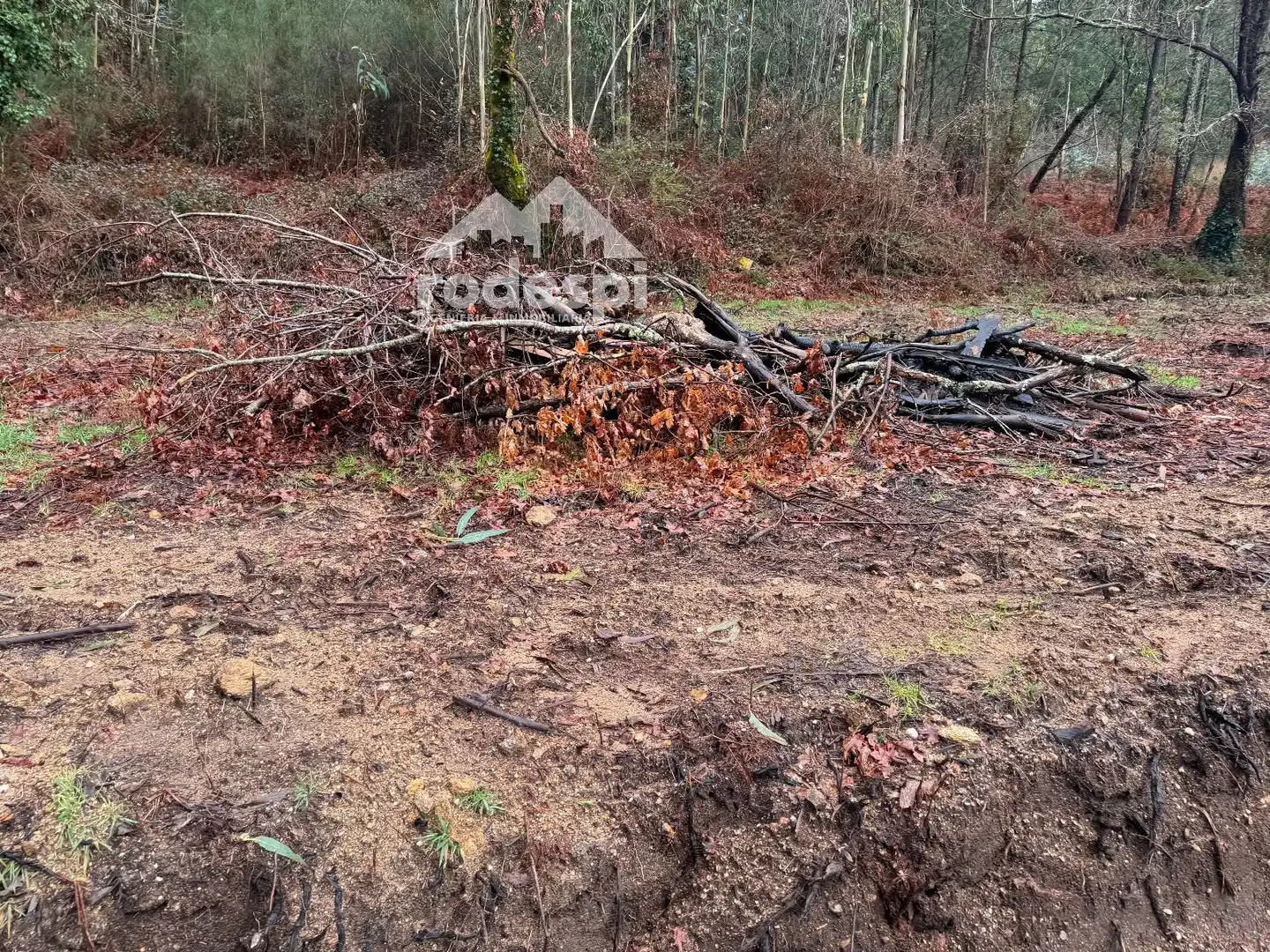Xalet en venda a A Cañiza, imagen 8
