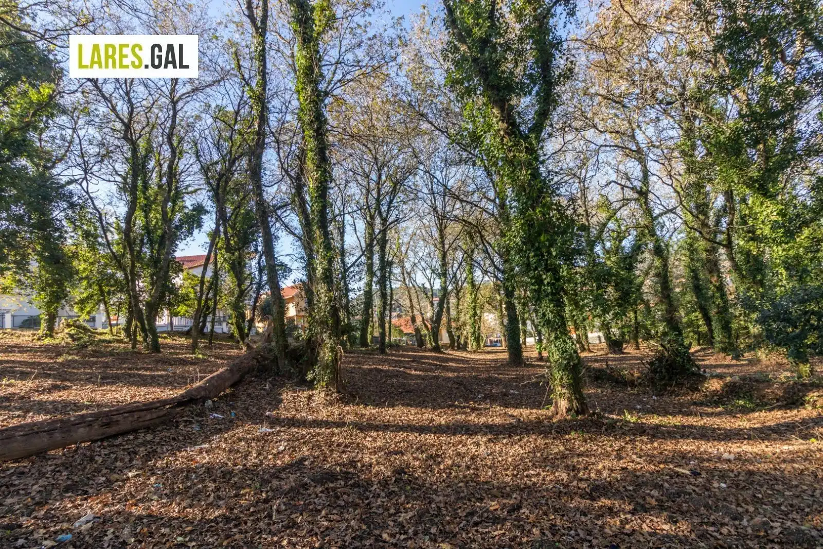 Lands and plots for sale in Rúa Ximeu, imagen 16