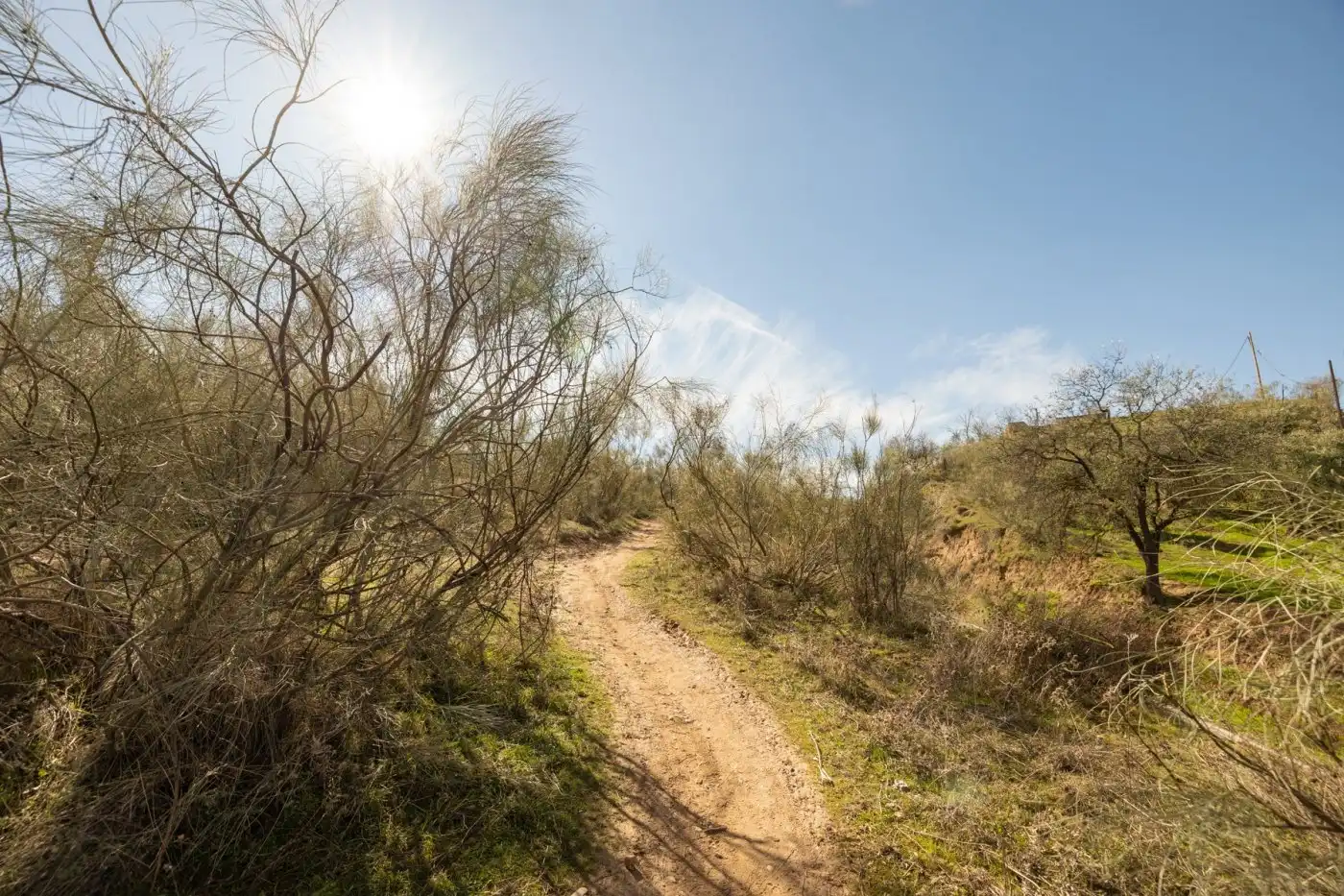 Country house for sale in Albaicín, imagen 26