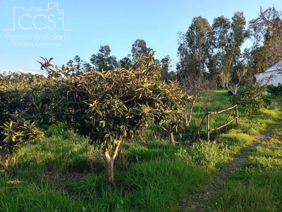Finca rústica en venda a Almonte ciudad