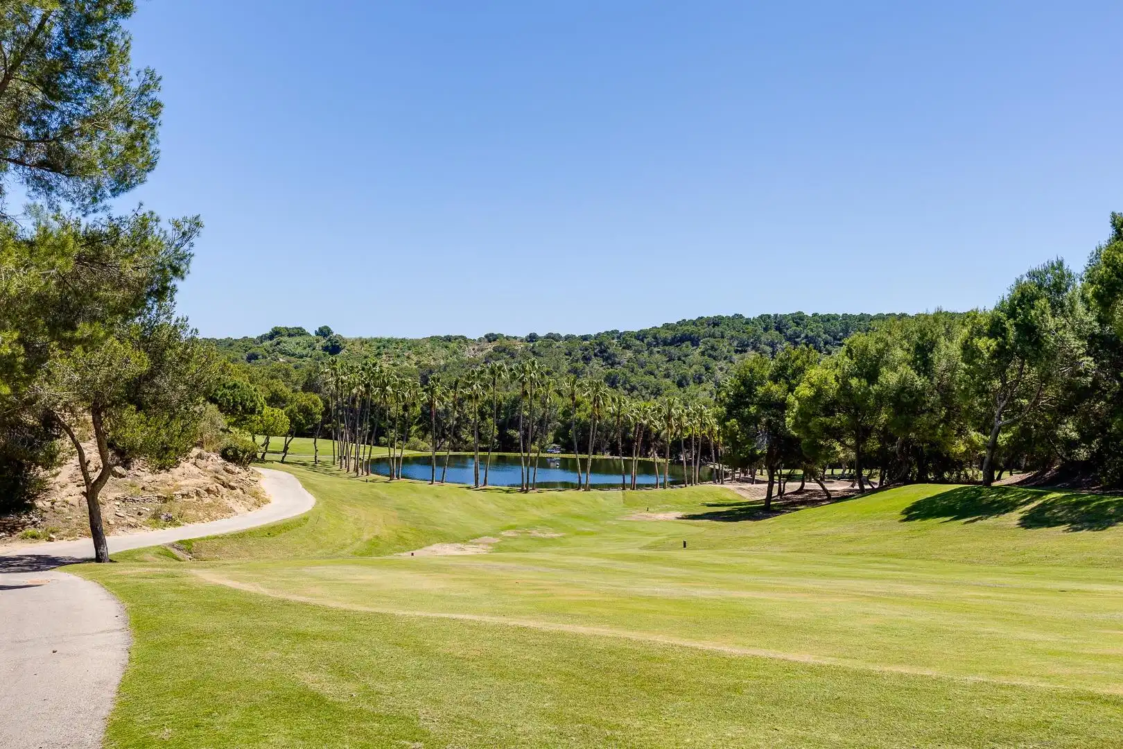 Mini appartamento con terrazza in affitto a Campo de Golf Lomas de Campoamor, imagen 91