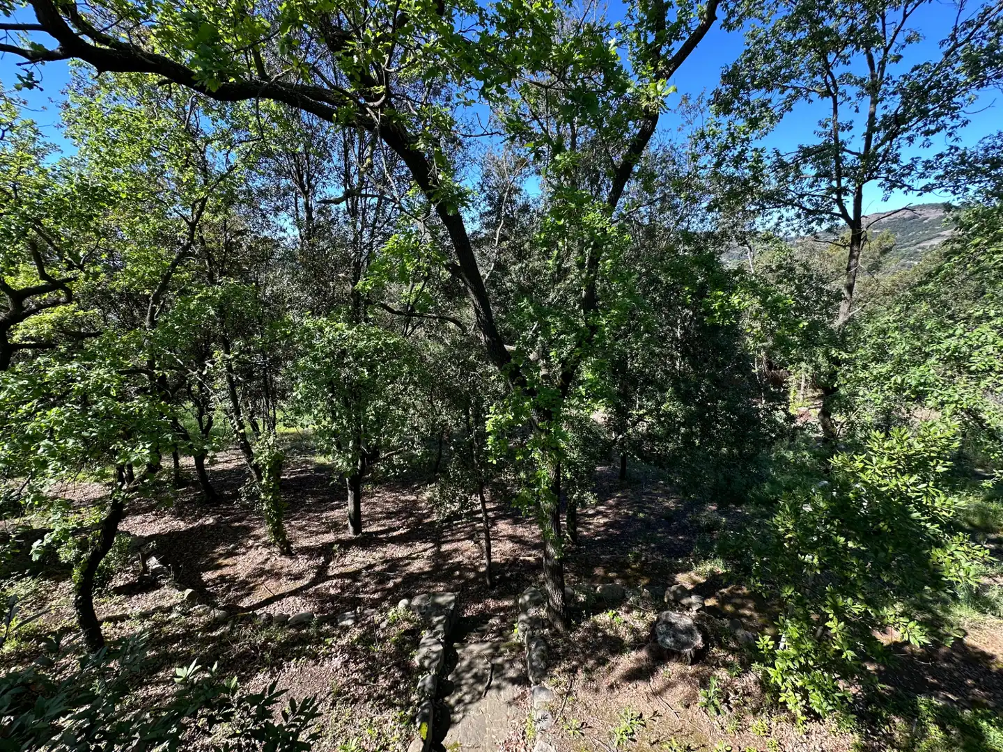 Casa o xalet en venda en Matadepera amb Jardí privat, Terrassa i Moblat