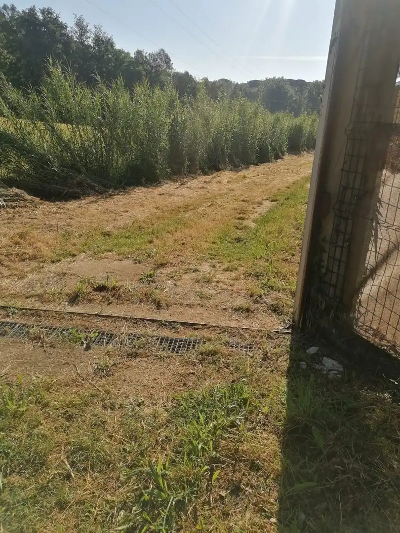 Haus mit Garten zur Miete in Maià de Montcal, imagen 20