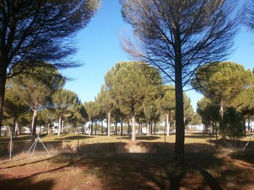 Terreno residenziale in vendita a Aldeamayor de San Martín