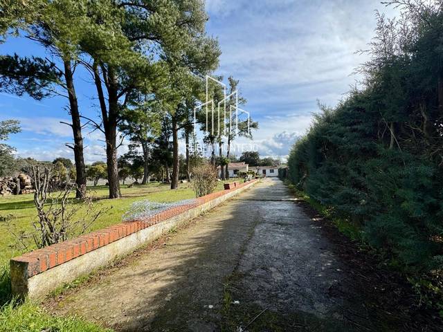 Terreno en Venta en Arces en Valdunciel