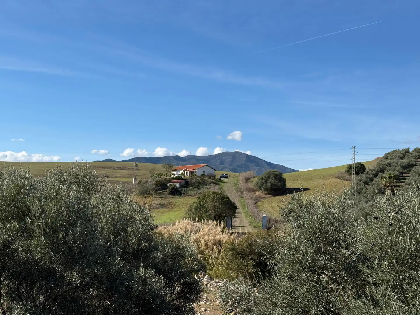 Vista exterior de Casa o chalet en venta en Málaga con Calefacción, Jardín privado y Amueblado