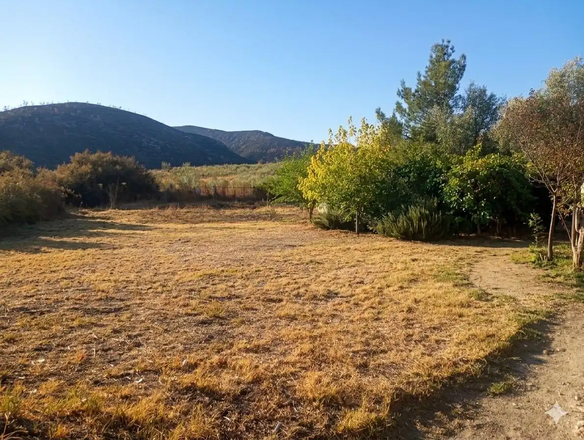 Commercial properties for rent in Aranjuez