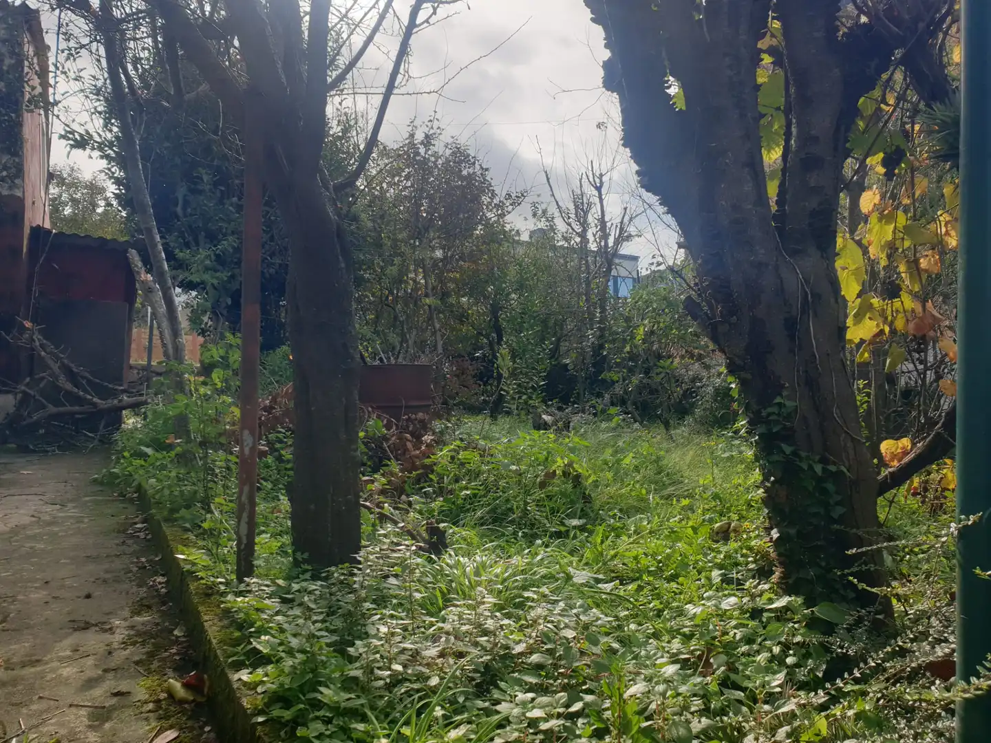 Casa en venta en Canido, imagen 11