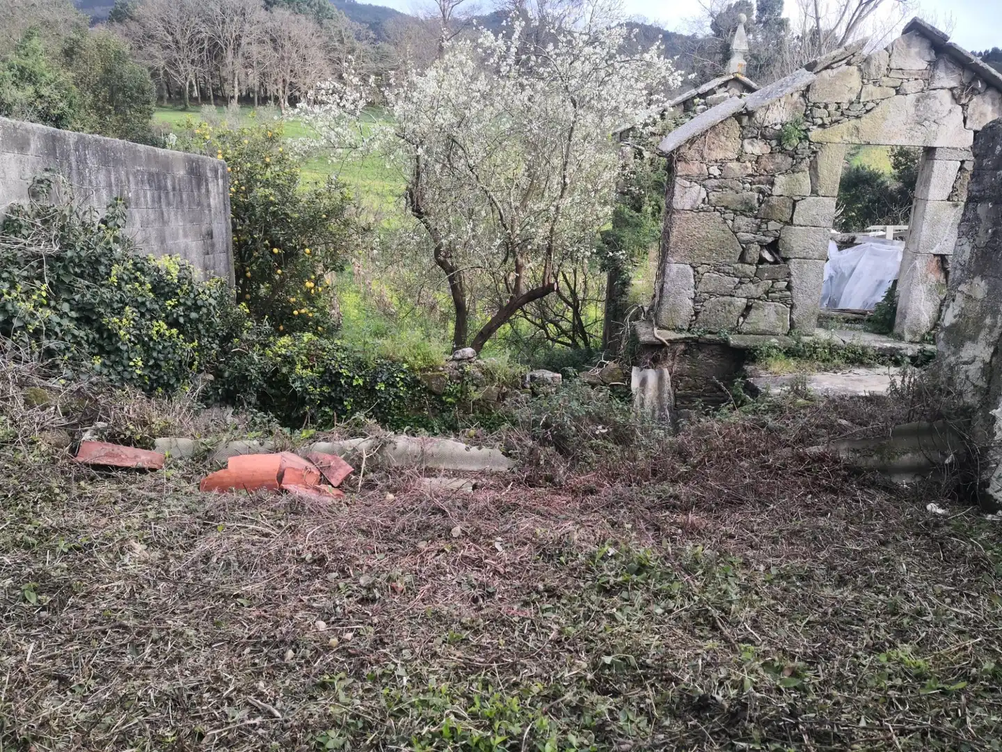 Casa o chalet en venta en Carballo con Jardín privado