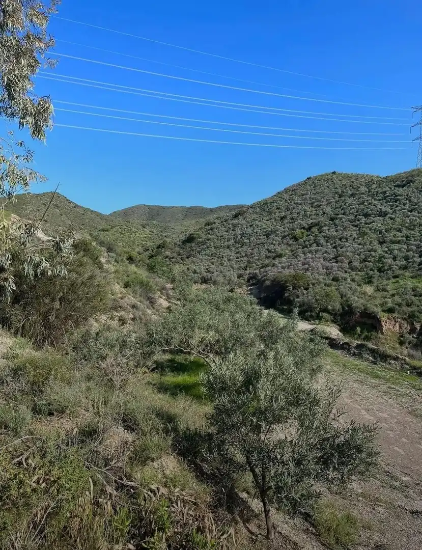 Terreni e lotti in vendita a Pedanías Sur, imagen 15