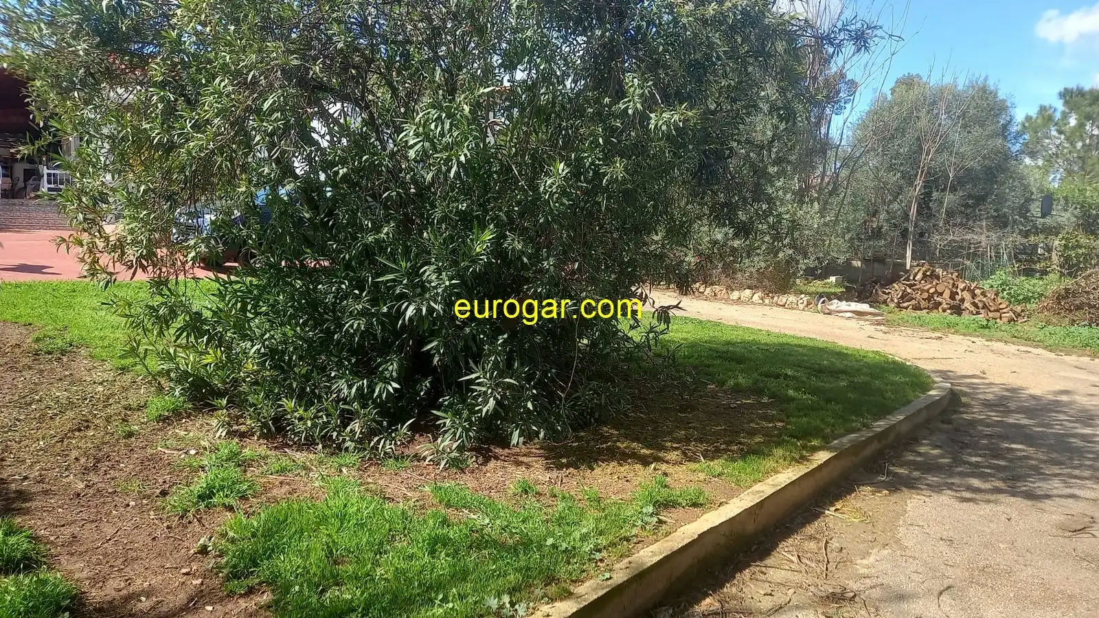 Residential land for sale in Turís, imagen 6