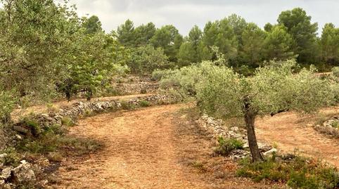 Photo 2 of Residential for sale in Villafames, Vilafamés, Castellón